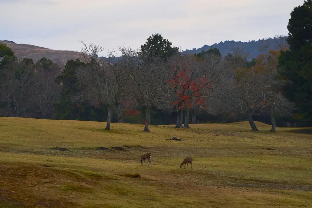 AKIHIRO SOGA work 13